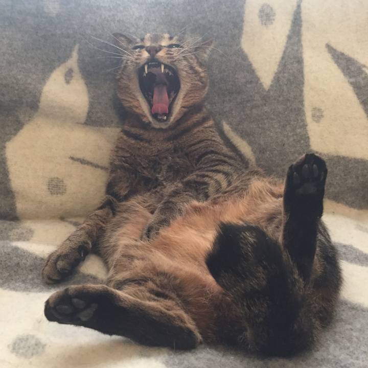 1449d5c5 4738 4901 aeab 87071935f2e1