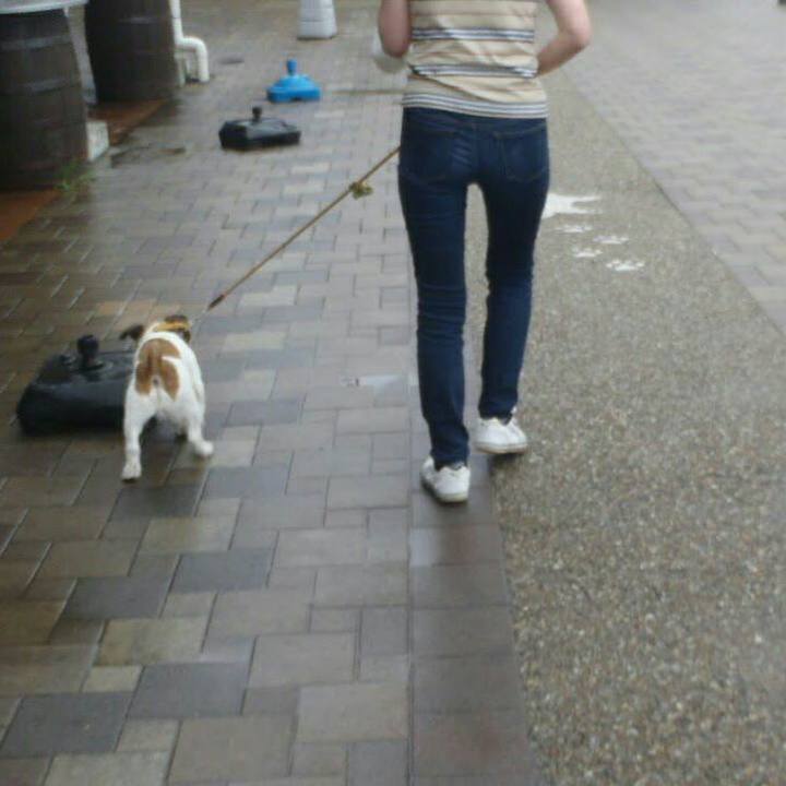 144a21c5 08c1 4998 8c62 5194bf71f8d1