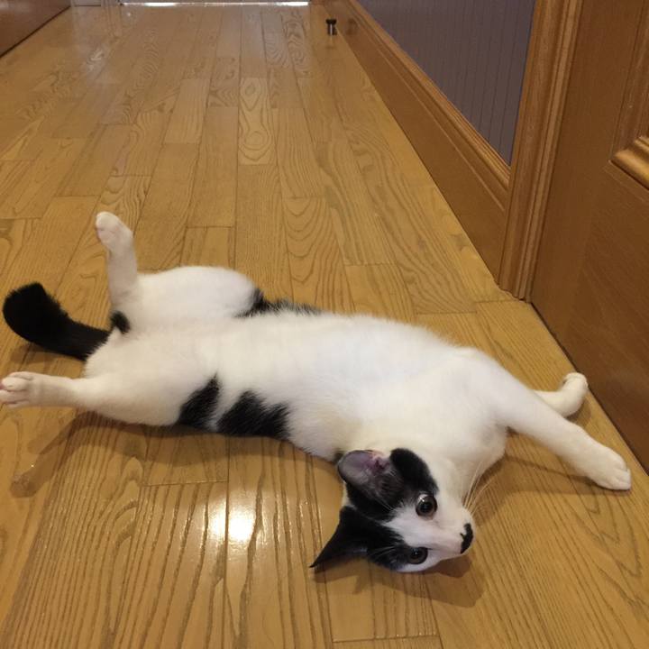 144a708d f302 4675 ac01 87f604ffbeea