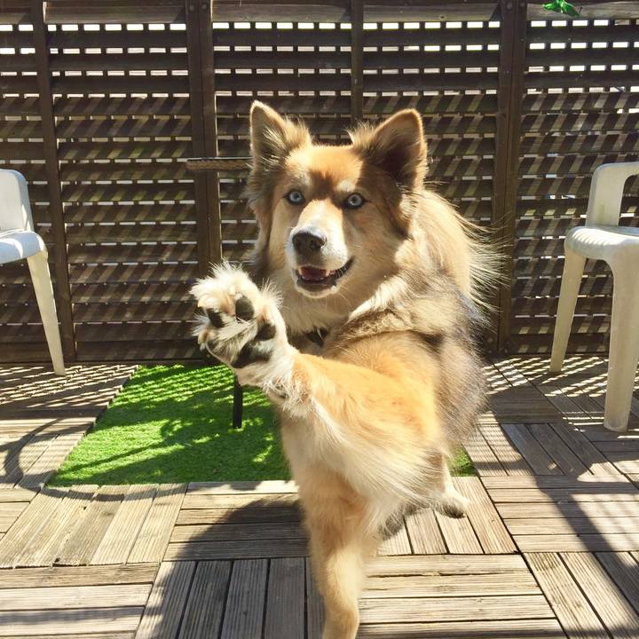 144aed80 59e8 47cd b51d e159df4f0f29