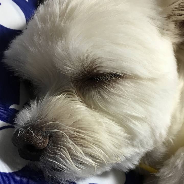 144b0d22 0b36 4c0f a619 6c3d1a8c27c3