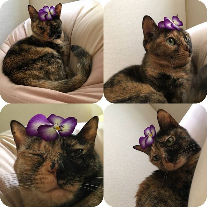 144b3f4b 4ceb 4fa7 bd71 e429ffa836b8