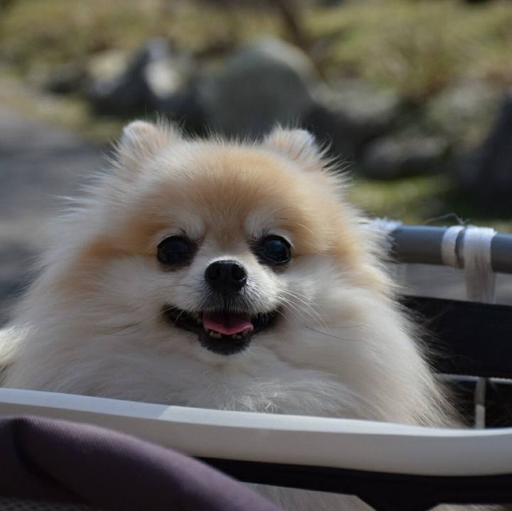 144b79b1 dc1a 4760 808b c26cce195fe3