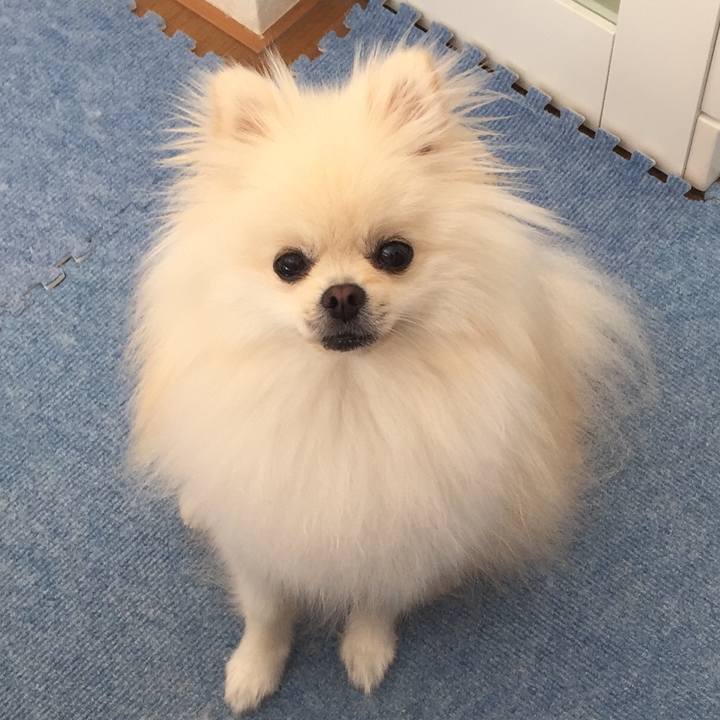 144bdff6 4863 4970 b4af 278c6d64424d