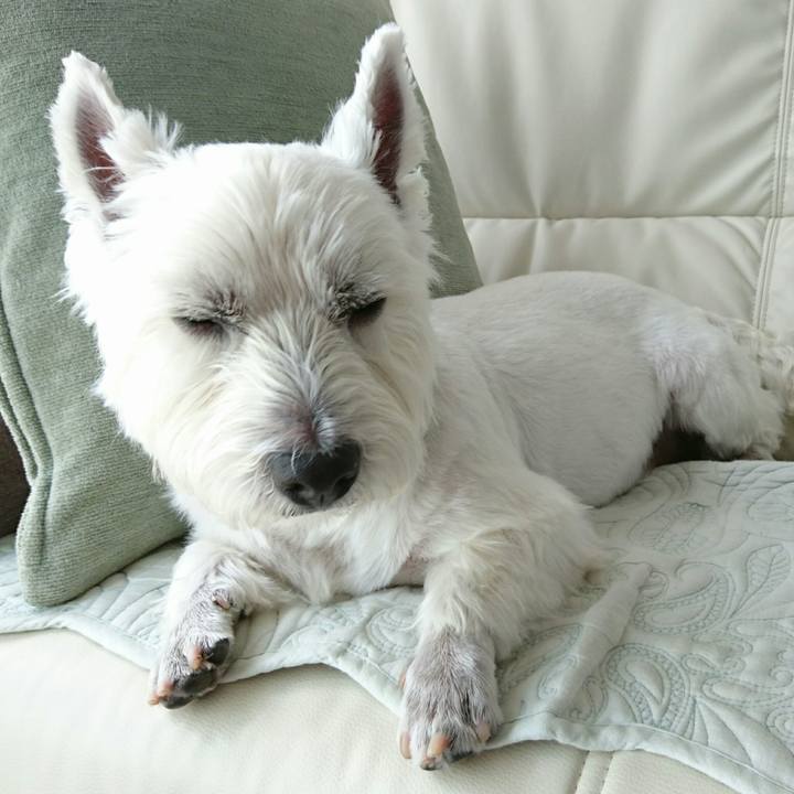 144c0dce 5dc8 4e46 a5cd e2af21f21b06