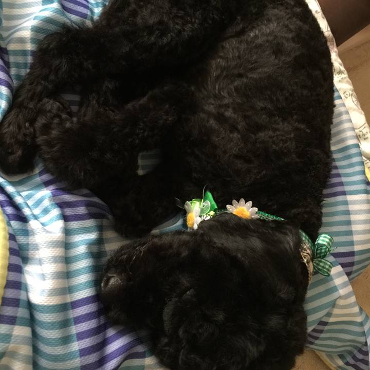 144c13d8 9041 44da a412 d724088bb551