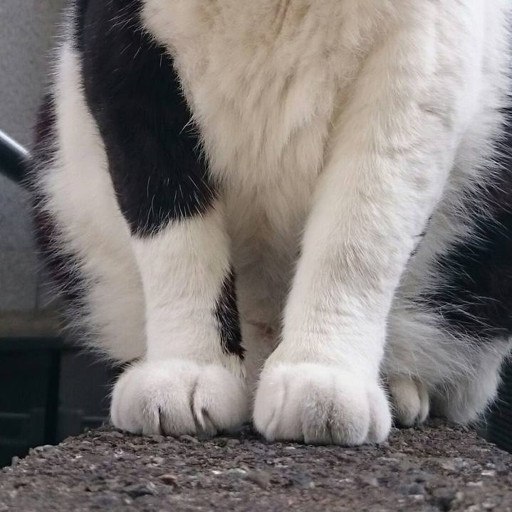 144cf137 b055 4fe4 bd20 d28bea8923e9