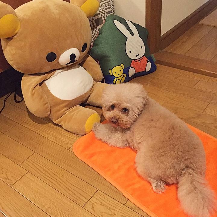 144d289c 7f02 4138 912c 3b825a1ca77f