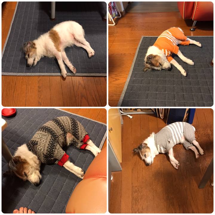 144d345f 04aa 4698 99eb 39e56324d7f7