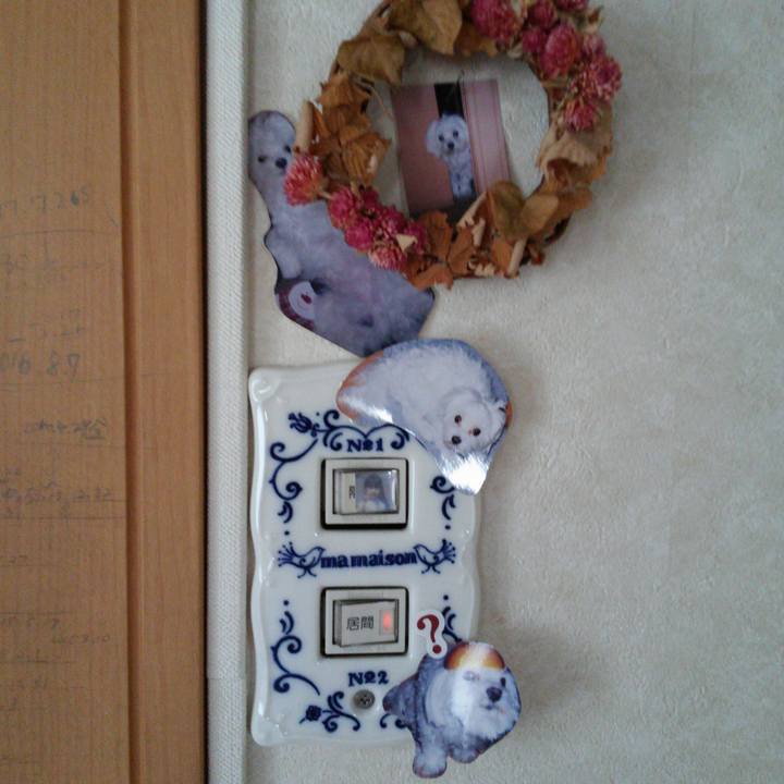 144ea88a bce9 46fc acc4 716dc3d65008