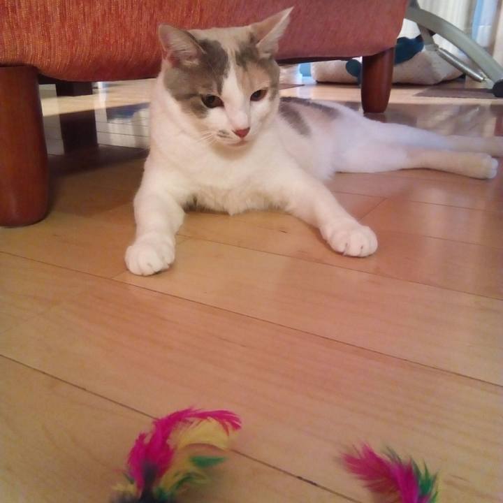 144ed8a2 5bb8 4617 b1e9 9f323c5a629f