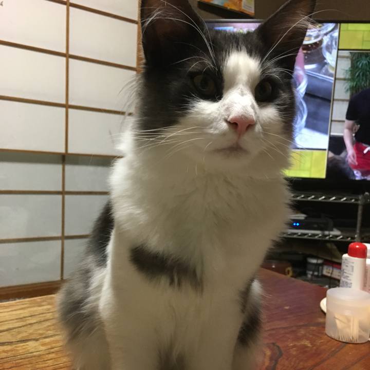 144f310f 6a7d 44e4 95a4 ee1d6225b611