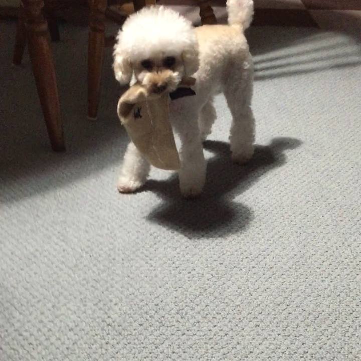 144f7f2b d3c6 4b61 bbdd d87ba0063c68