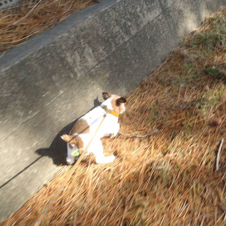 1450b429 0ab5 47db 86b1 d4958d874ec3