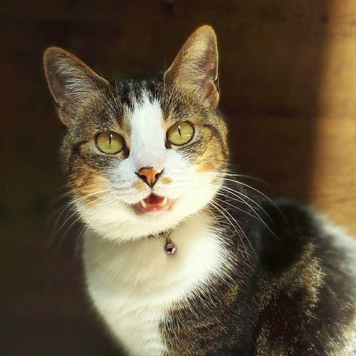 14519995 0624 4beb adc1 04eced06c7ef