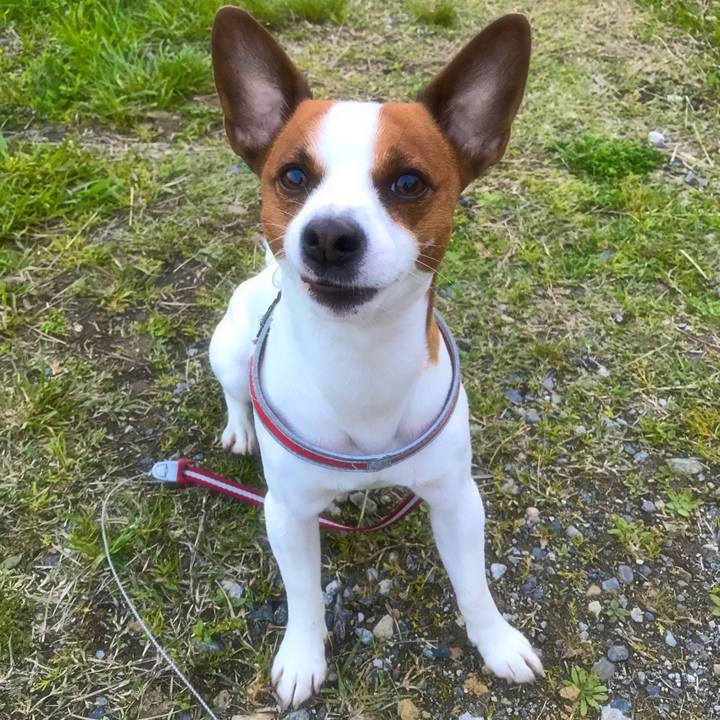 1451a506 5ed9 46c5 85f9 9a3d32f40de7