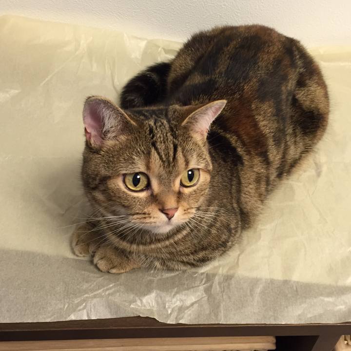 1451a748 bd2f 4248 8b7e f9aa7045a11d