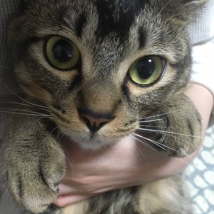 14521b59 bdb9 4661 9294 5095ca485179