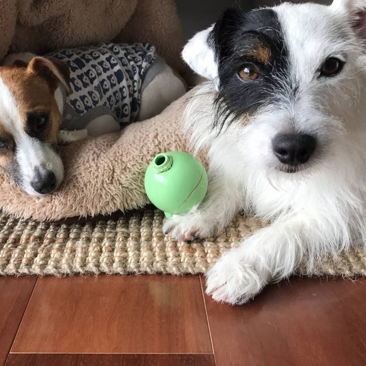 145276d3 221b 4cef 8054 12484446fb0d