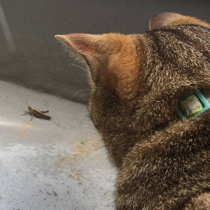 1452d5a5 b49b 44cf b92d df4fae4d51c1