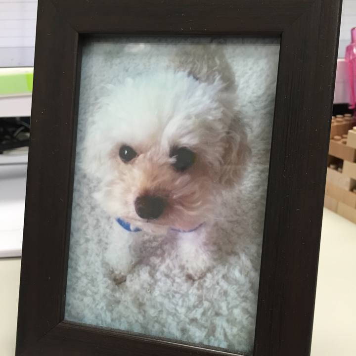 1452def6 173f 451e aeb8 a488bd0022d3