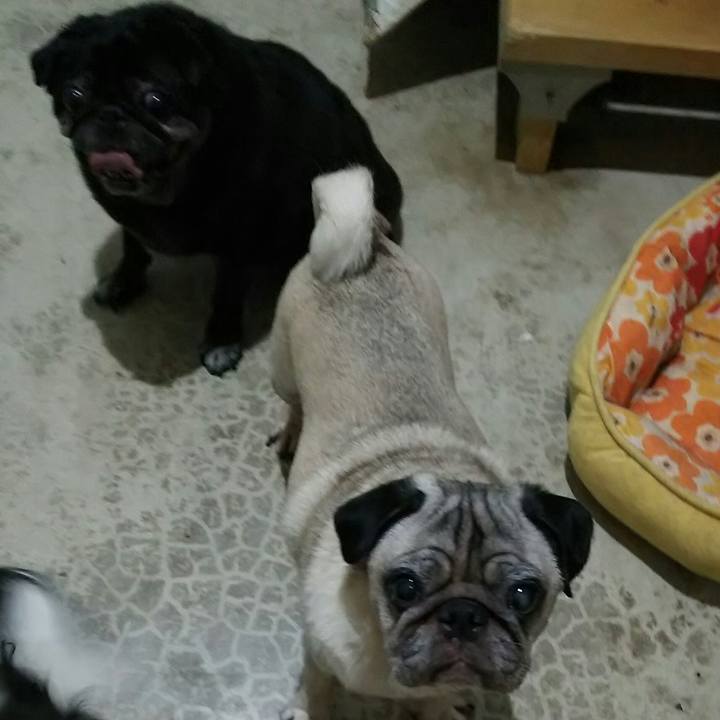 145376e1 f284 46be b865 53d7e73c778e