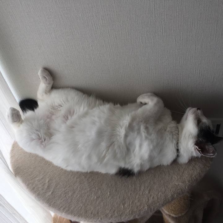 1453c51f 67ef 4746 8ab9 1a486f950a9a