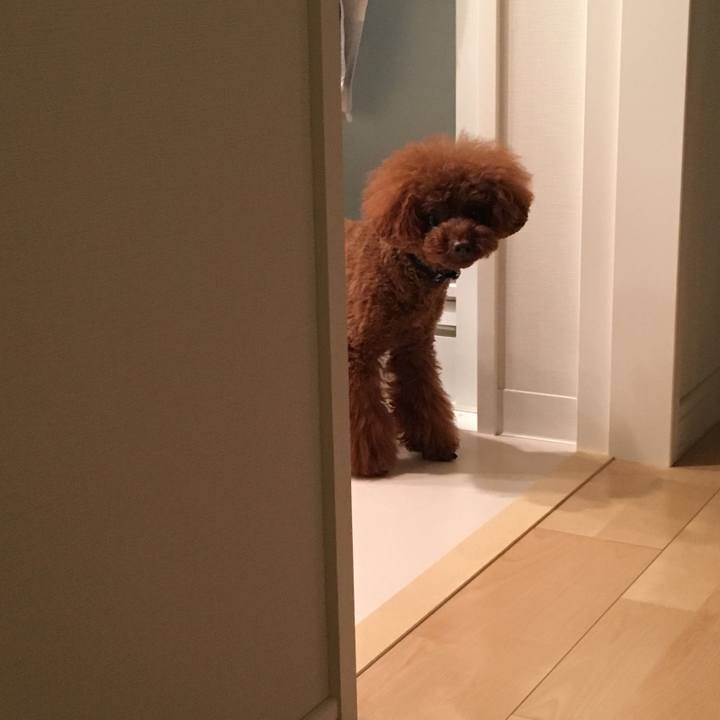 1453f050 ed86 4053 bf02 769308166319