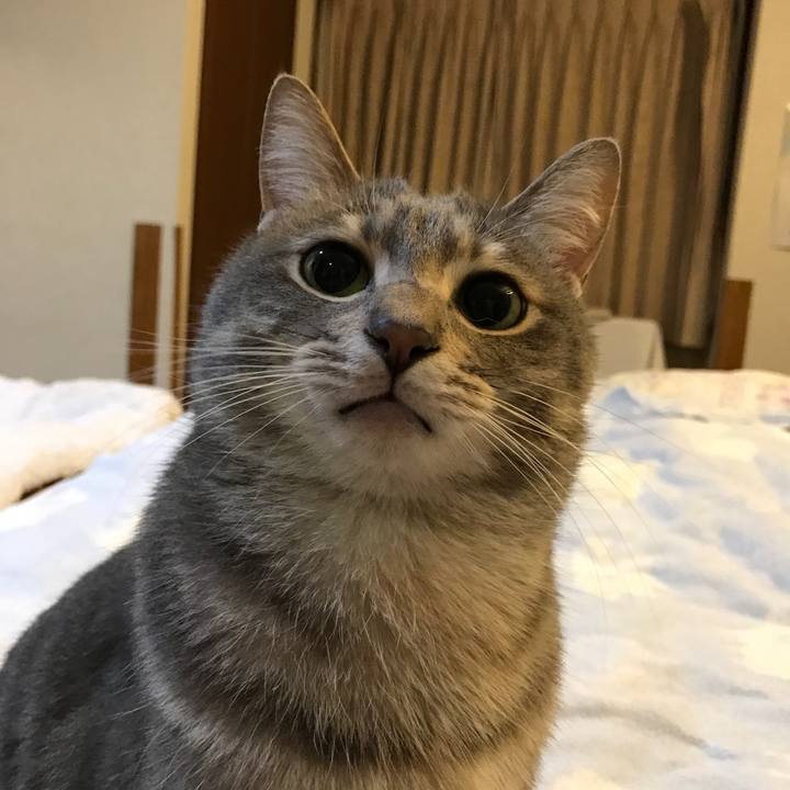 1454074a 29b6 4a78 aa4c 00e2e046a4bd