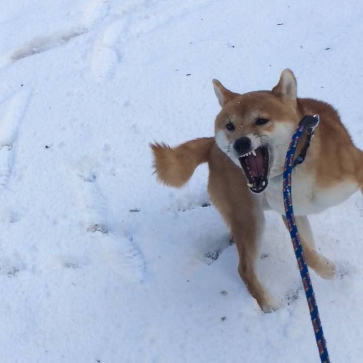 1454fd60 03bb 4d96 b4b3 22a9939b9b37