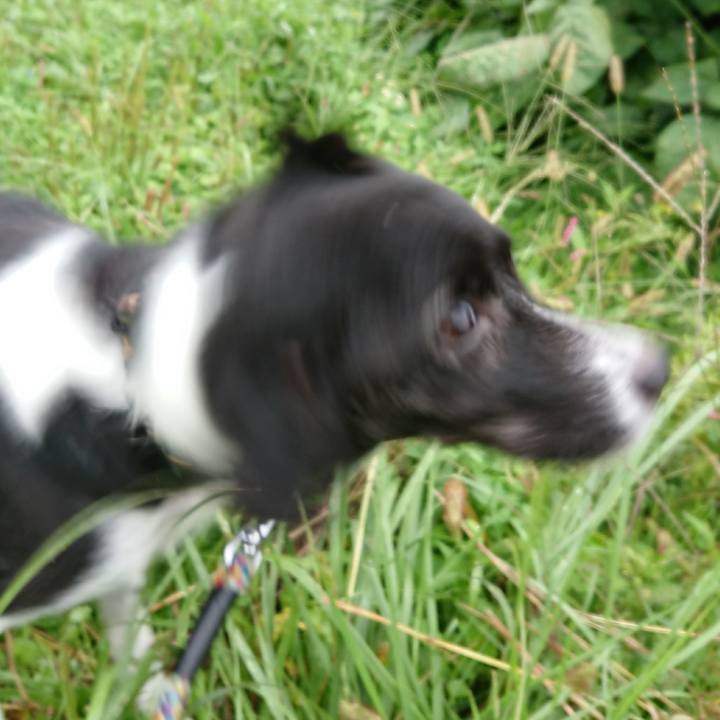 14550487 5275 4879 b37f 55b511502cd7