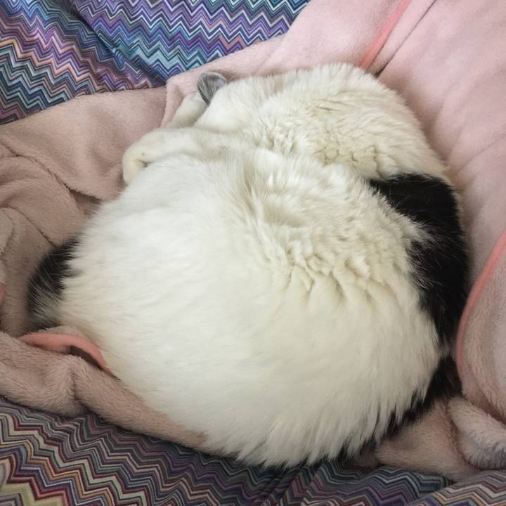 14554382 176f 40f8 930d 1b0fbafe66c6