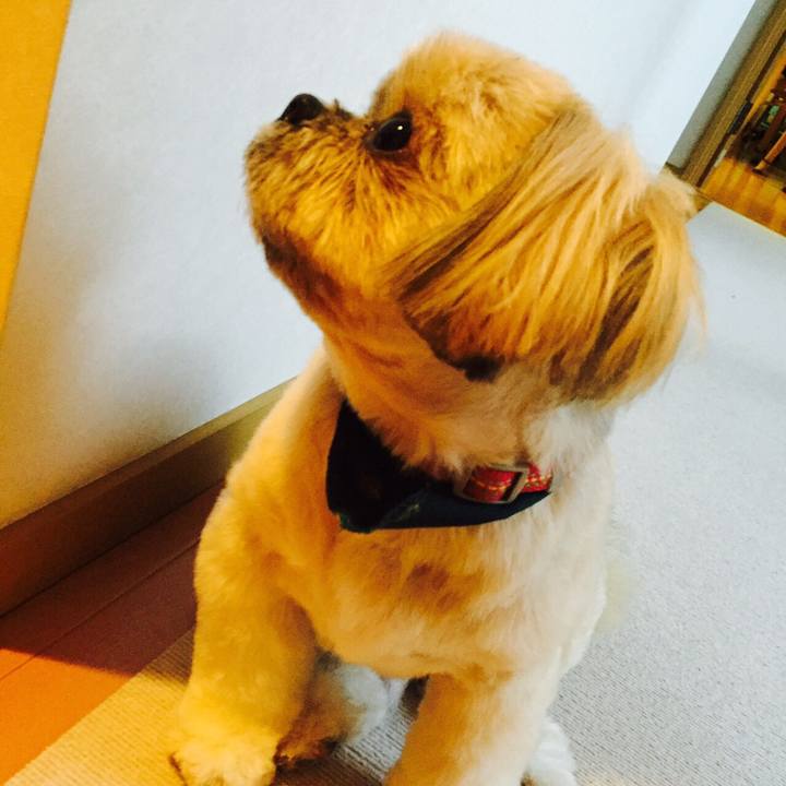 145546e8 56ee 4772 bb37 37000fff6ccf