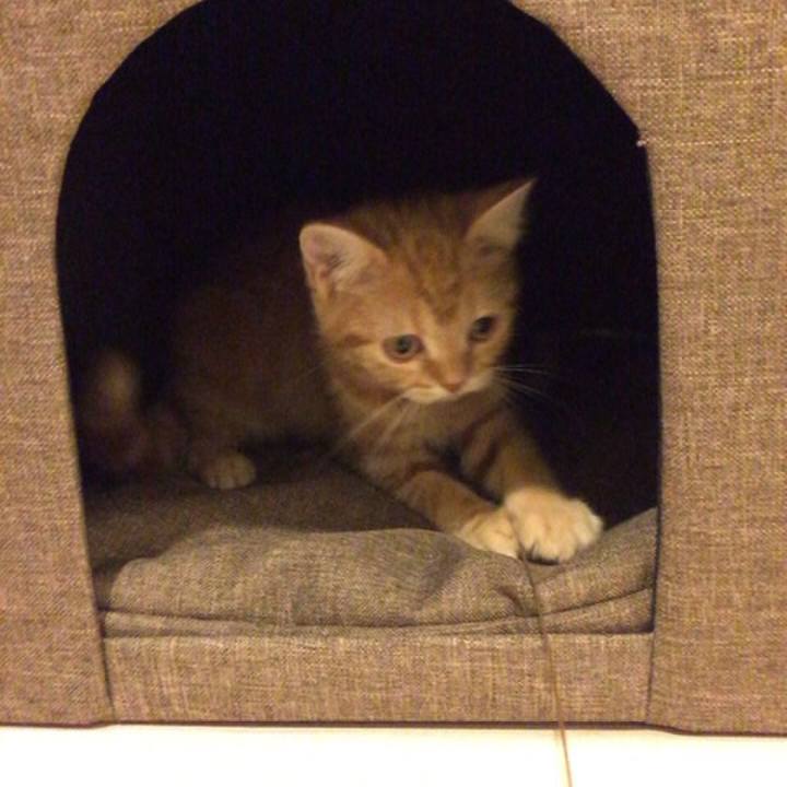 1456fdc2 3fca 4a5c 8f8e 82dd2fdda975