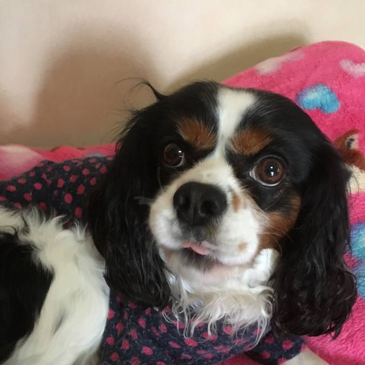 14583629 b1f8 4019 9117 2a14692d4333