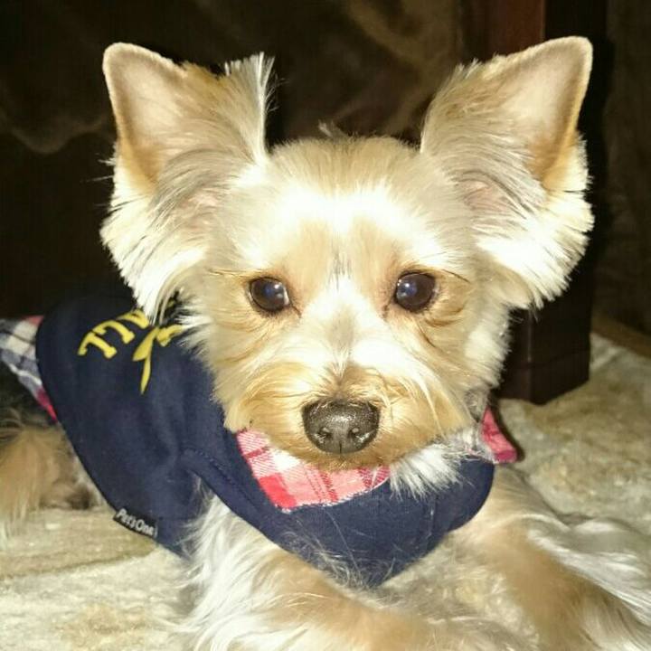 1458769e a584 4433 b5f5 2eaee0a5f672