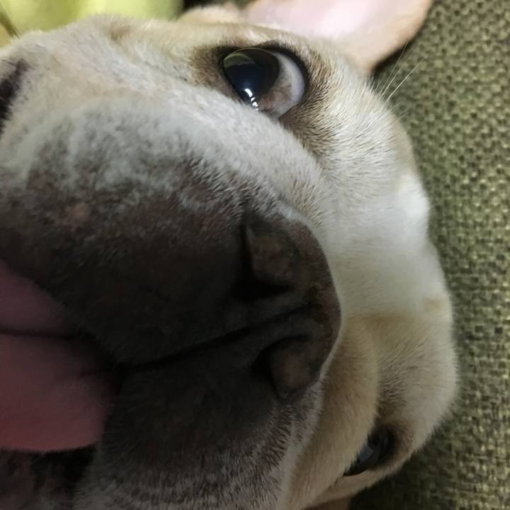 1458a2ed 6e23 43ad 9408 39cfb8ed2f1f