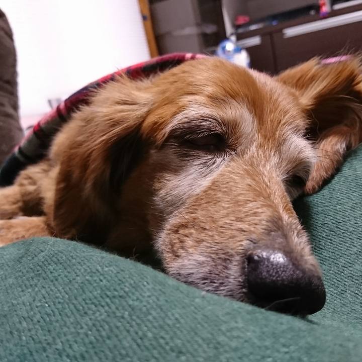 1458ec30 eda2 47ef b491 9b427e8b1408