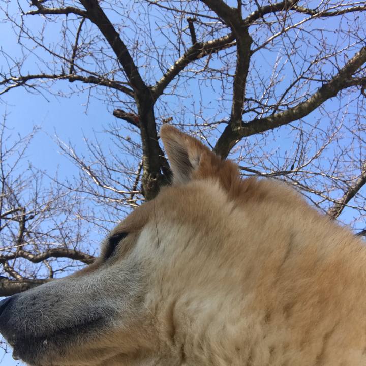 145919a2 ba5e 4ea7 b7d0 a1d886b8e3d4