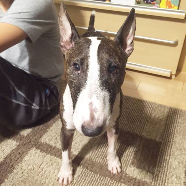 14592940 6e32 4289 9b04 2abd6ce7a715