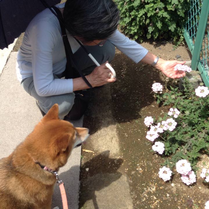 14599141 4e88 4d03 a273 6a5aa4de78e8