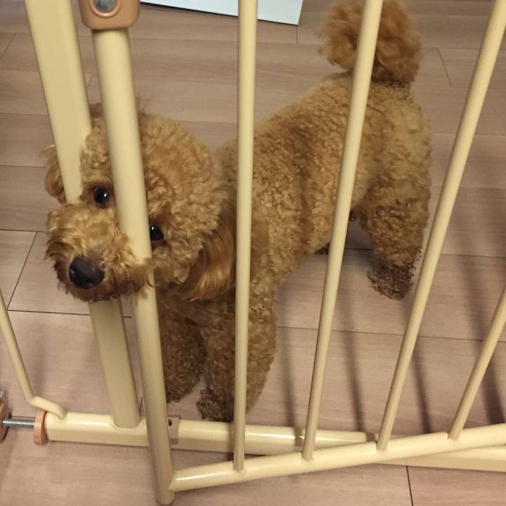 1459fd1a 7943 4fdc 8400 648abcadc8f7