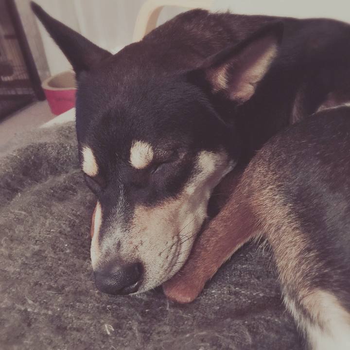 145a07e2 a192 4581 b767 f92990cb727b