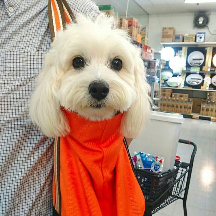 145b83e8 9cf2 4e72 b64b 9850806c92a6