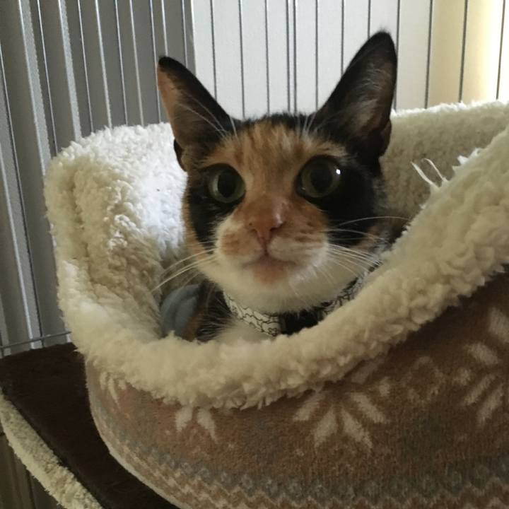 145bb6e9 e2bc 41d6 b804 ee3c2b56cfe0