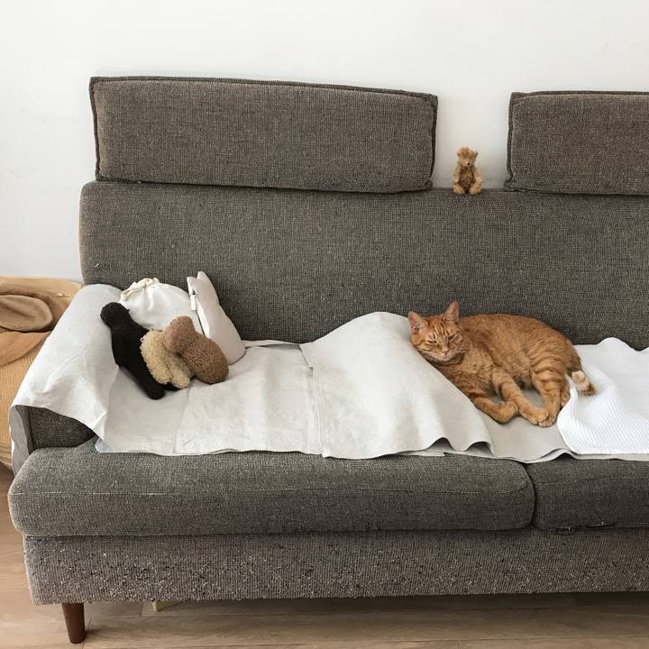 145bcc4b 4275 4f34 9857 aea867238c3b