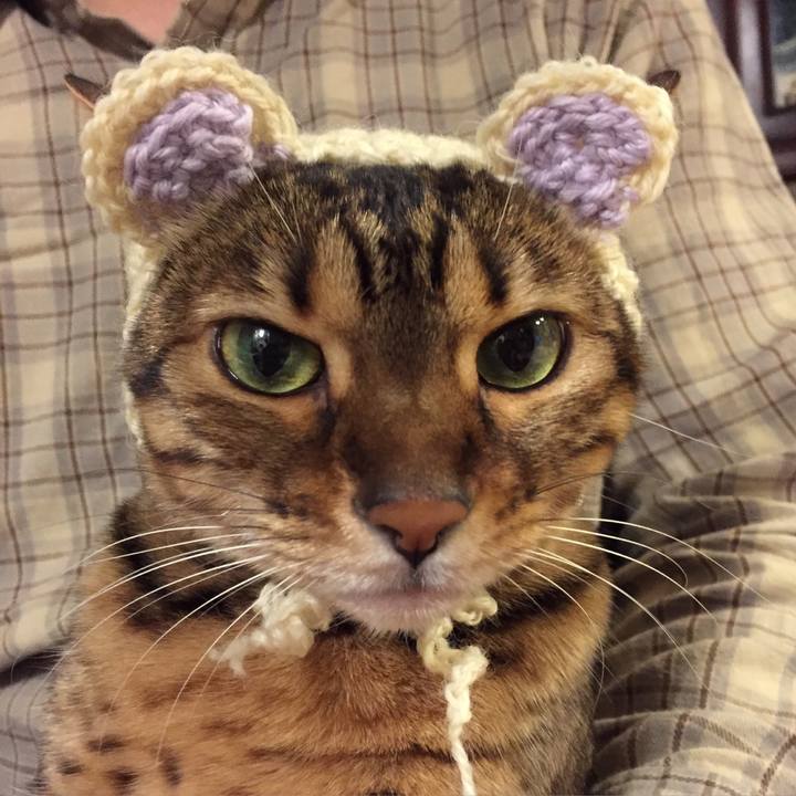 145c8a7a c58e 4d39 887a 4b5479b81d84