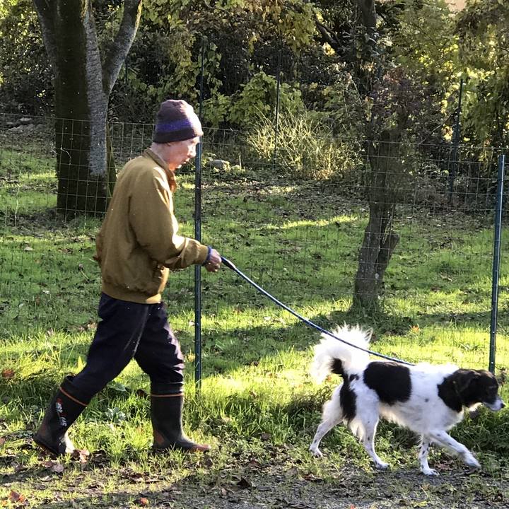 145dd657 73e2 4b6a 82e4 d984386f90d2