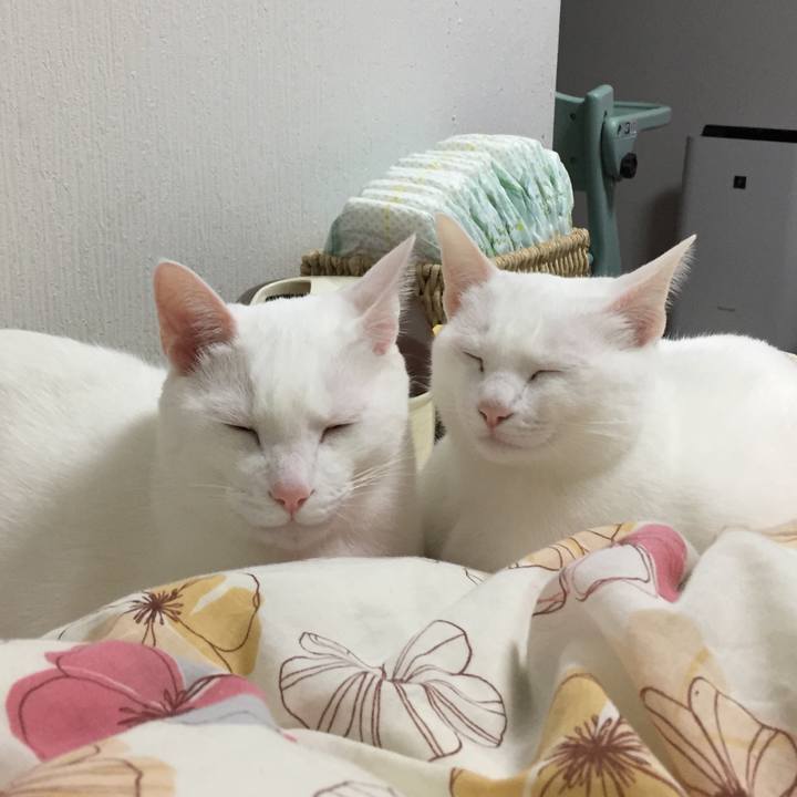 145e3e7e b0c9 42be b8f3 a2f8dedac78f