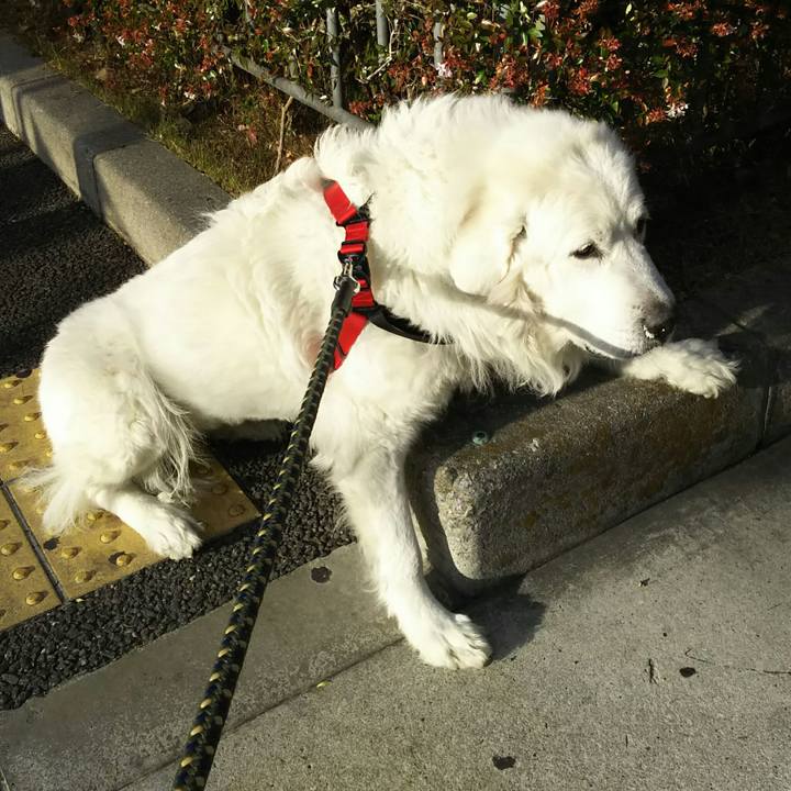 145e4bf1 cef9 465e 81b7 b7a1849e1d61